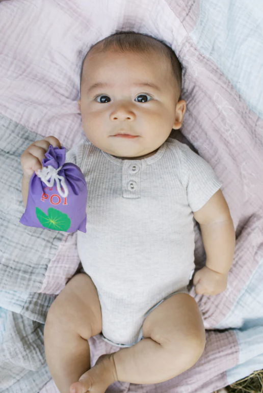 Hawai‘i Farmer's Market Play Food Set