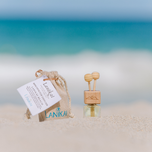 Twin Islands Mini Desktop Diffuser