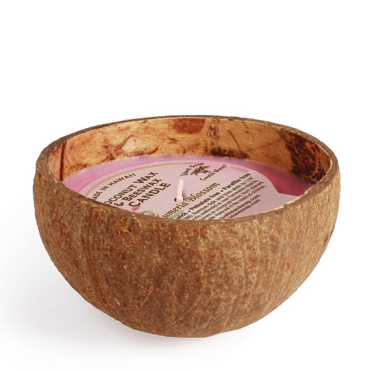 Plumeria -Coconut Bowl Candle with Coconut wax