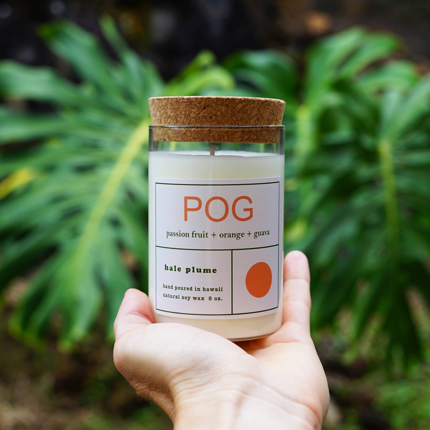 Holding Hale Plume POG Candle