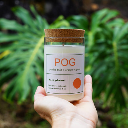 Holding Hale Plume POG Candle