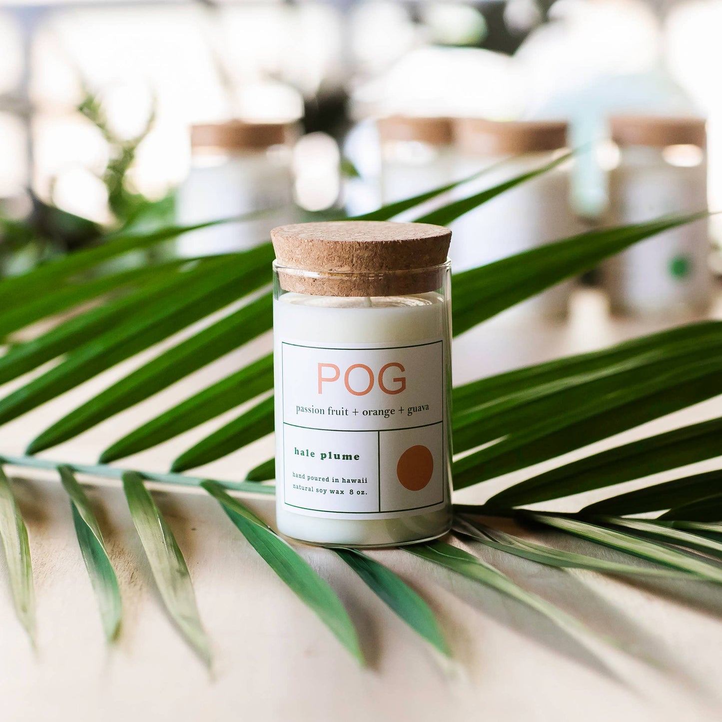 Hale Plume POG Candle