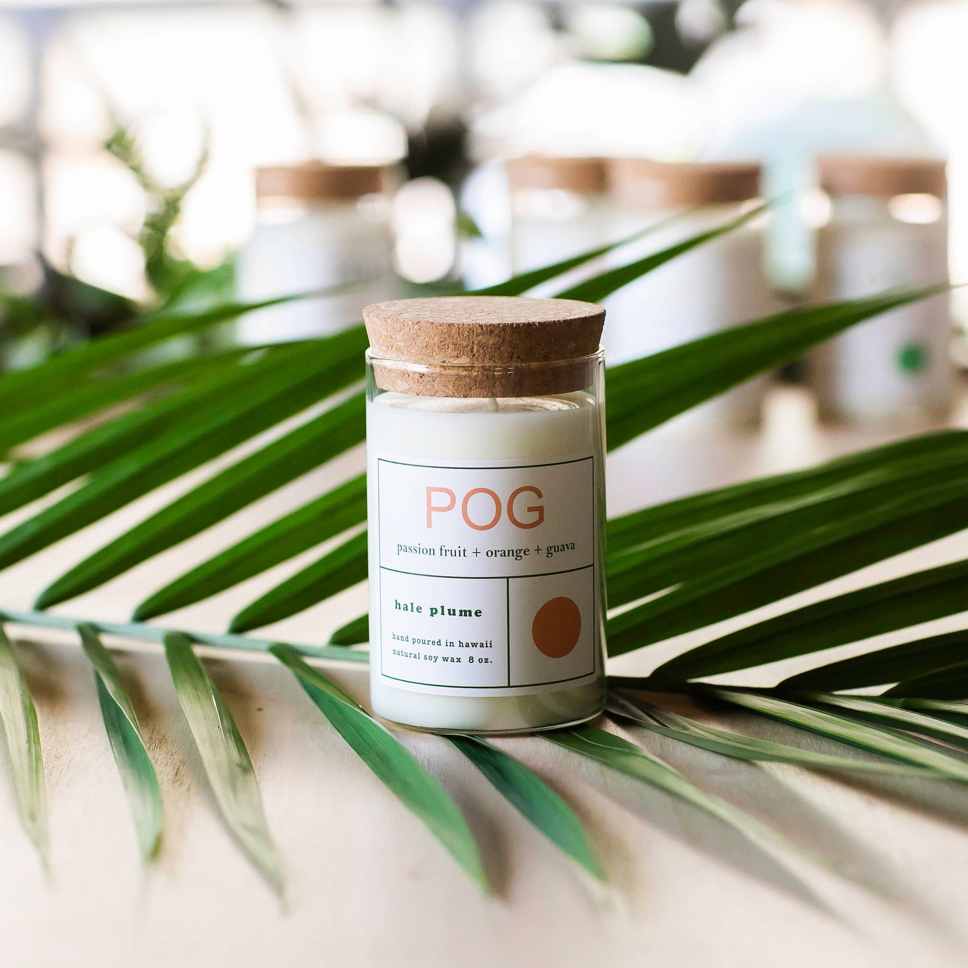 Hale Plume POG Candle