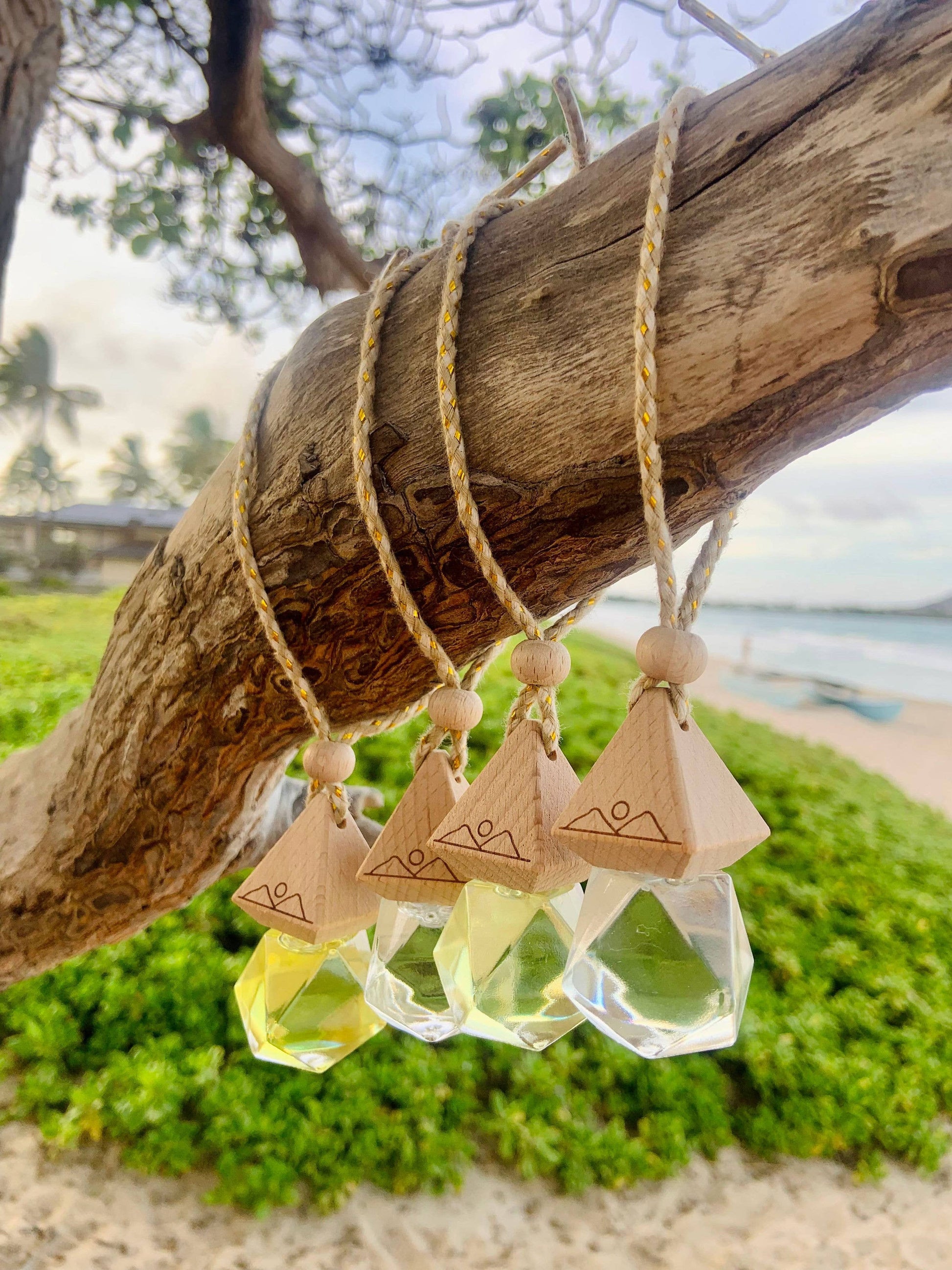 Lanikai Bath and Body Twin Islands Aromatic Car Diffuser (variety hang out)