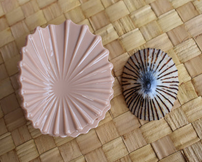 Revel Sun Hawaii 'Opihi Shell Shaped Claw Clip (shell color feat. shell)