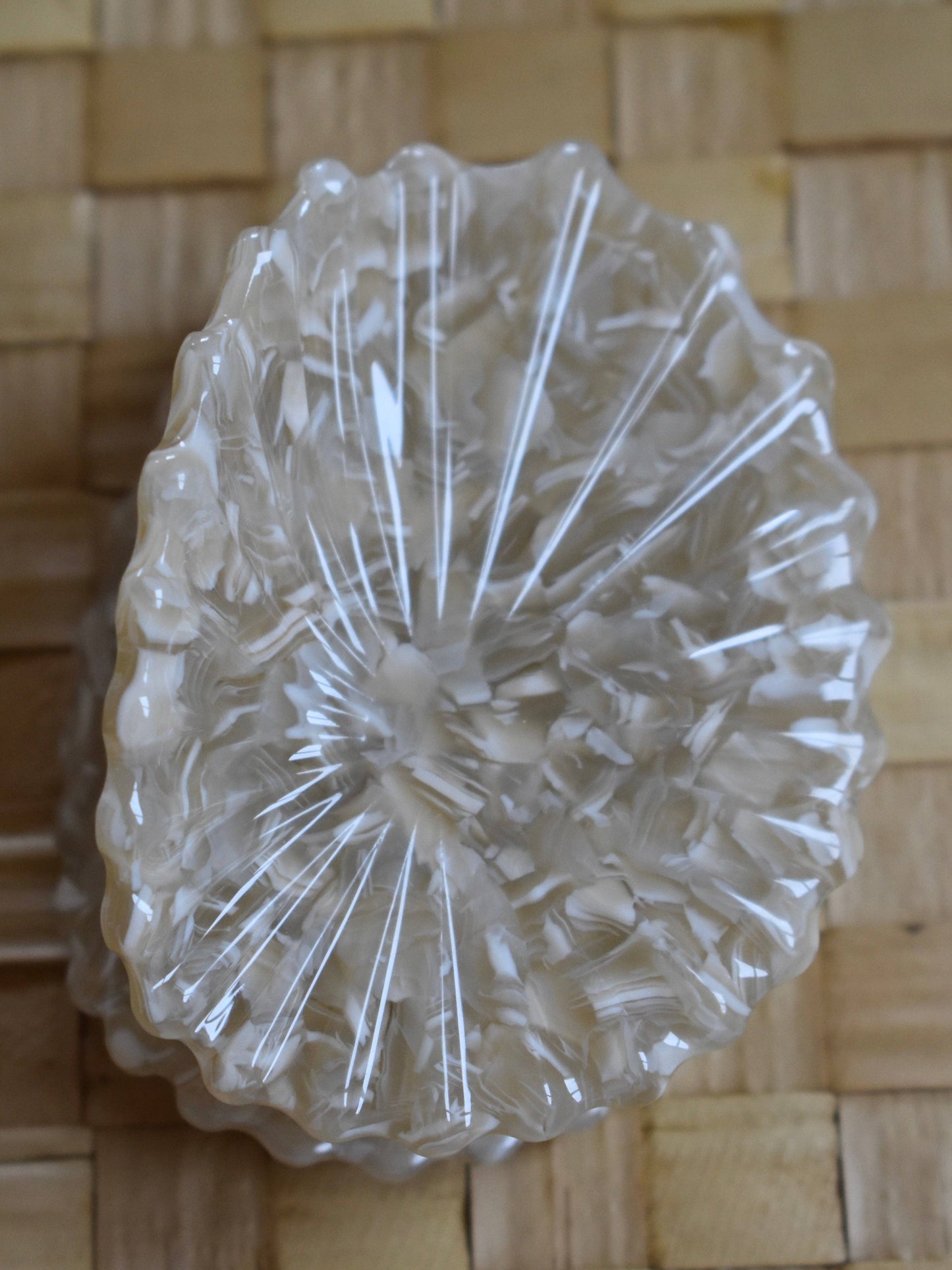 Revel Sun Hawaii 'Opihi Shell Shaped Claw Clip (White only)