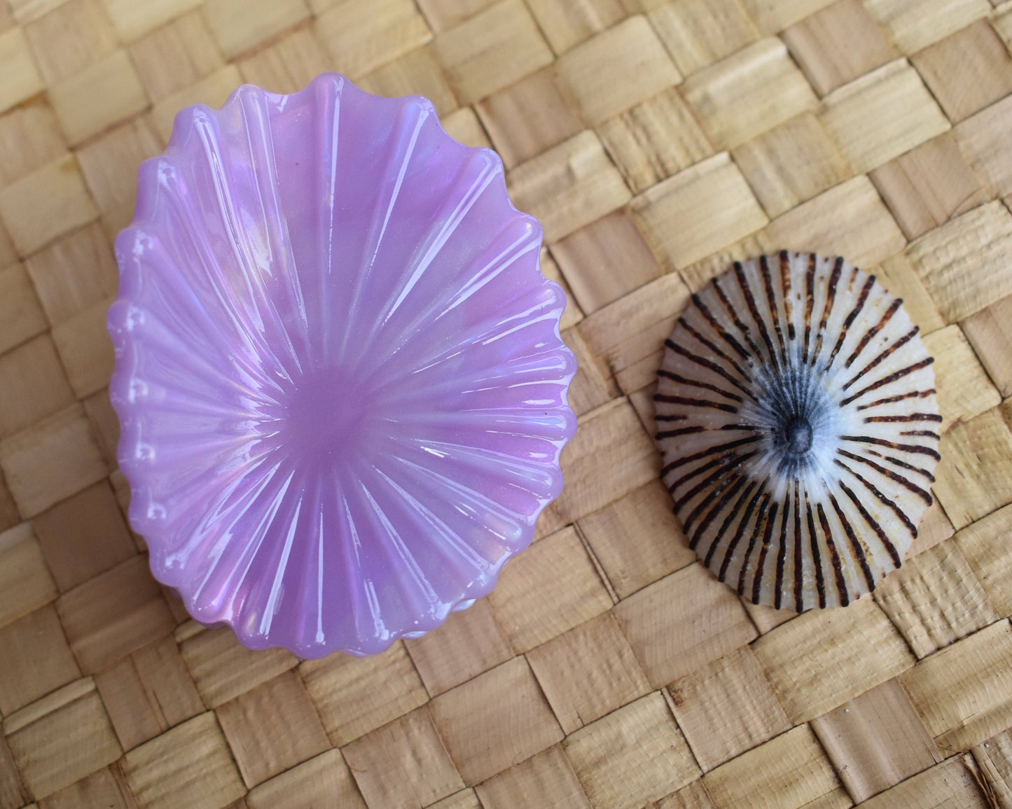 Revel Sun Hawaii 'Opihi Shell Shaped Claw Clip (lavender feat. shell)