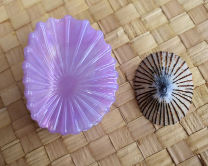 Revel Sun Hawaii 'Opihi Shell Shaped Claw Clip (lavender feat. shell)