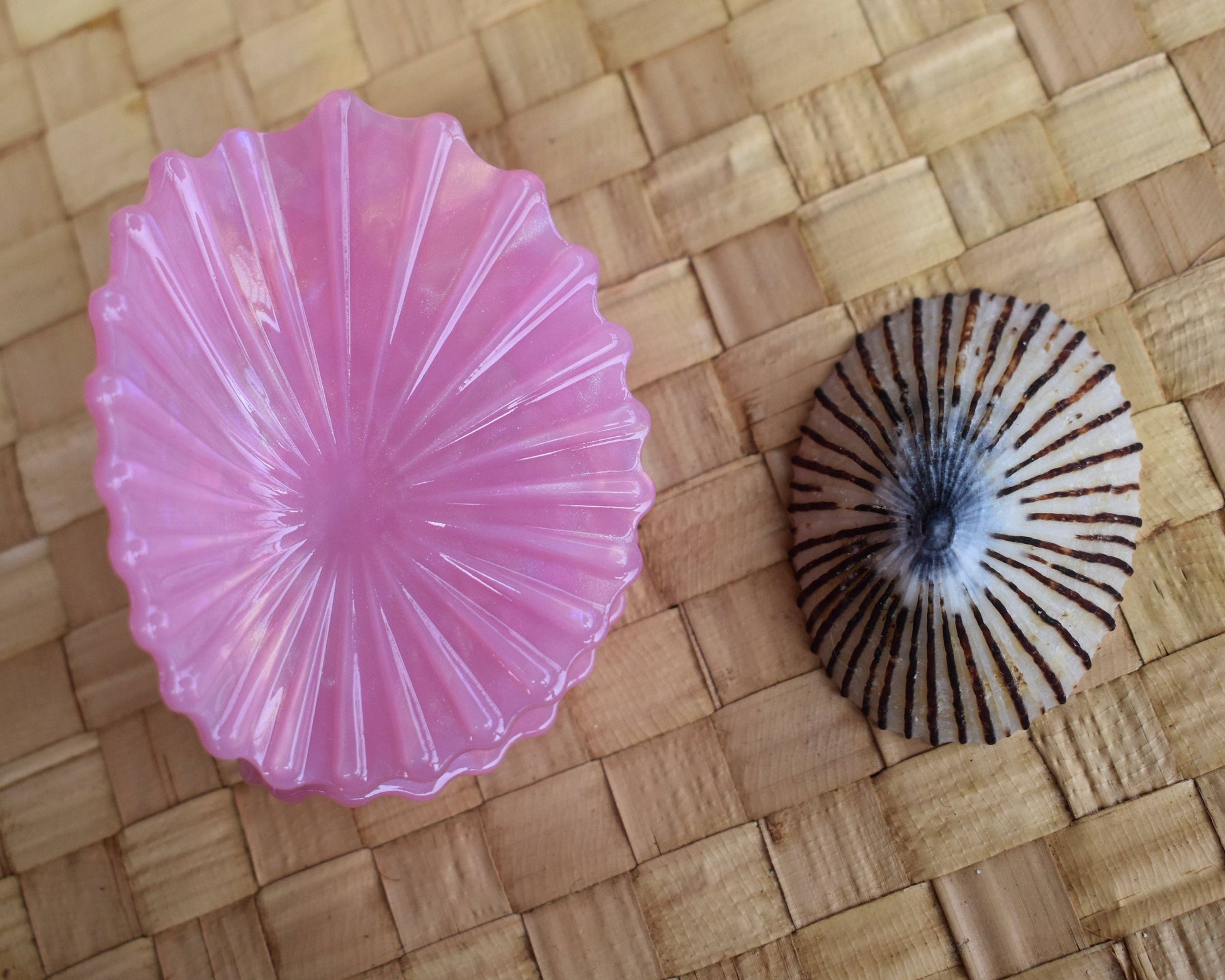 Revel Sun Hawaii 'Opihi Shell Shaped Claw Clip (pink feat. shell)