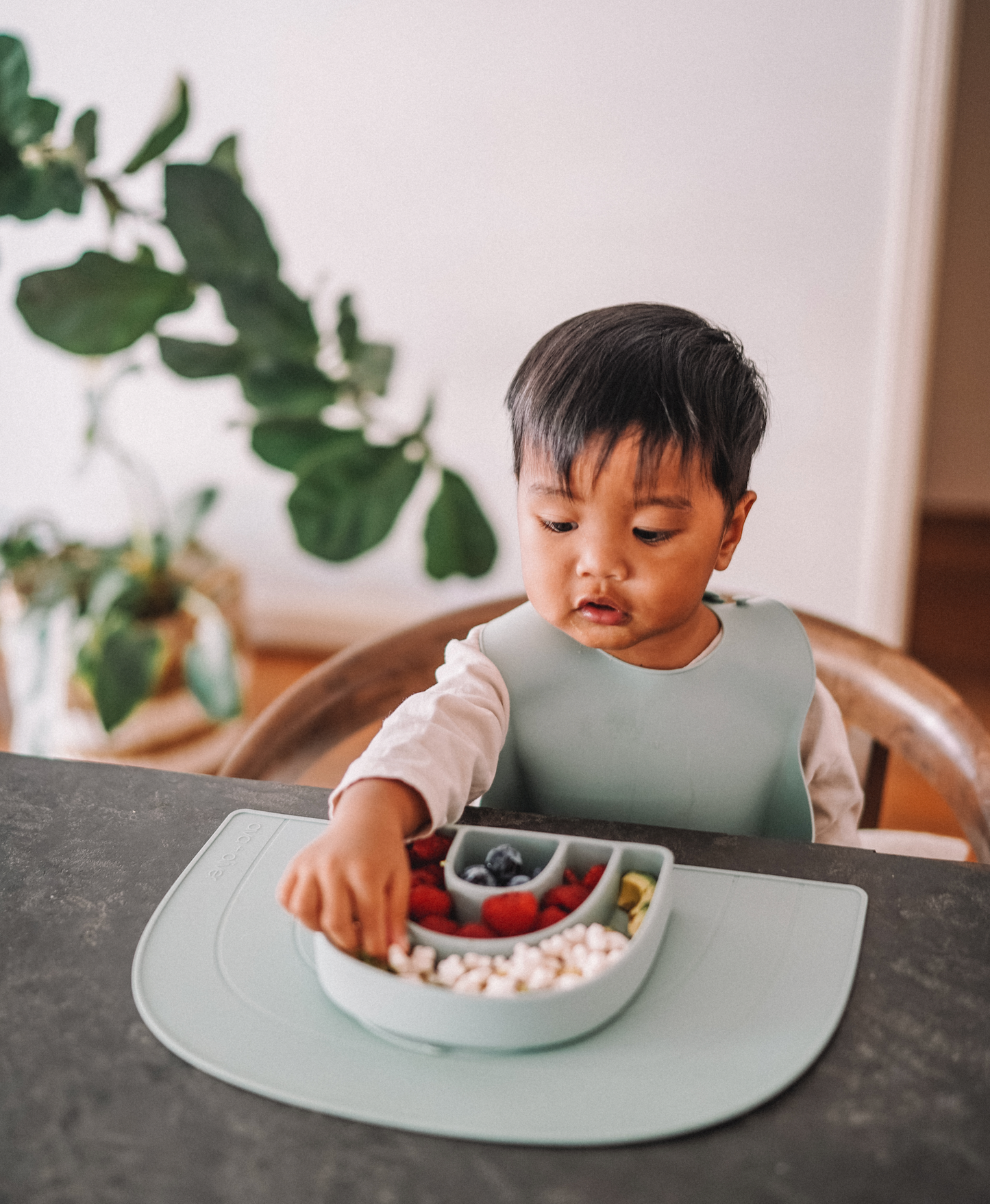 Eating from ava oliver Rainbow Plate | Mint