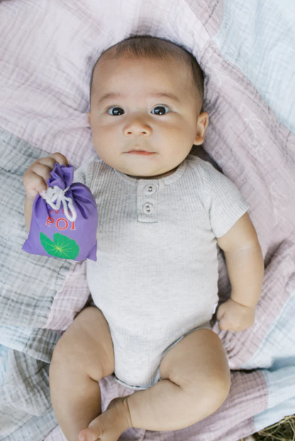 Hawai‘i Farmer's Market Play Food Set